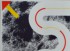 sugai-kumi_featured.jpg