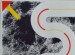 sugai-kumi_featured.jpg
